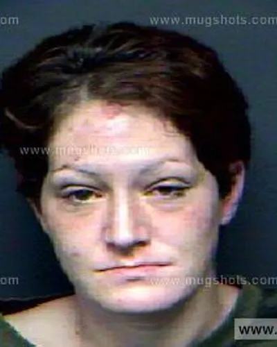 Booking photo of Crystal Harrison, Anderson County, Nov 19, 2012