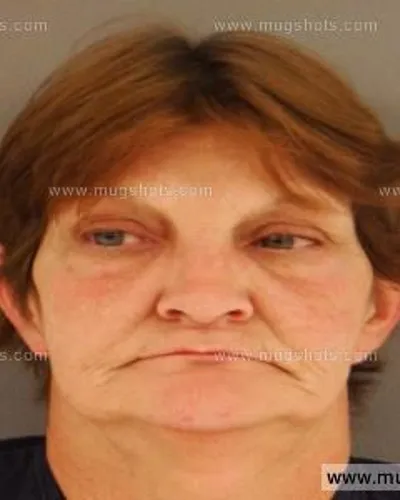 Booking photo of Helen Brock, Anderson County, Nov 11, 2014