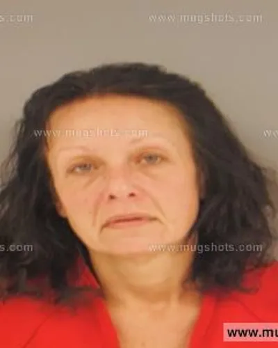 Booking photo of Christine Barnes, Anderson County, Sep 30, 2015