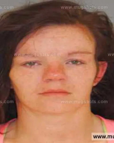 Booking photo of Billie Tinnel, Anderson County, Feb 24, 2014