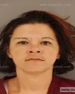 Booking photo of Cindy Sue Phillips, Anderson County, Apr 27, 2014