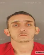 Booking photo of Ryan Daniel Thomas, Anderson County, May 2, 2015