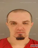 Booking photo of Bryen Paul Mcgough, Anderson County, Feb 14, 2015