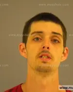 Booking photo of Brandon Dewayne Braswell, Anderson County, Apr 2, 2015