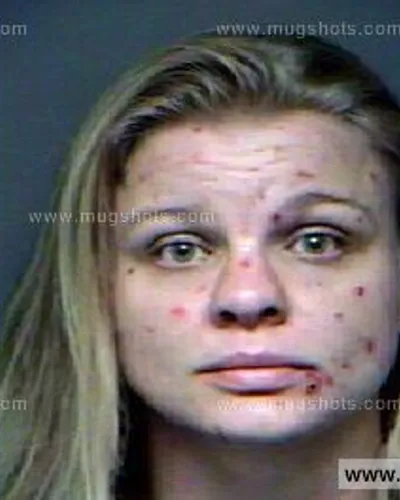 Booking photo of Heather Ann Phillips, Anderson County, Nov 11, 2012