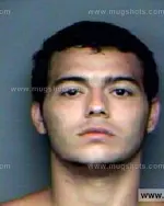 Booking photo of Steven Arthur Seiber, Anderson County, Aug 3, 2011