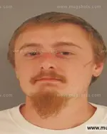 Booking photo of Skylar Alexander Patterson, Anderson County, Oct 17, 2015