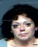 Booking photo of Stephanie Jean Richardson, Anderson County, Nov 7, 2012