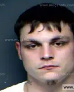 Booking photo of Shannon Lee Green, Anderson County, Nov 16, 2011