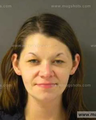 Booking photo of Donna Jolene Wells, Anderson County, Jan 1, 2014