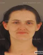Booking photo of Amanda Lee Silcox, Anderson County, Mar 3, 2014