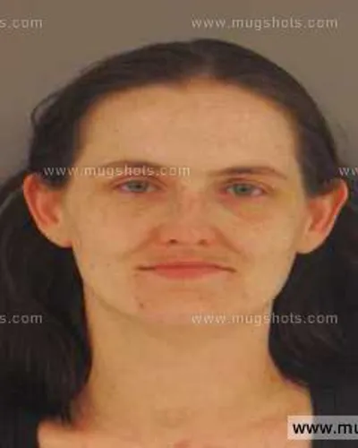 Booking photo of Amanda Lee Silcox, Anderson County, Mar 3, 2014