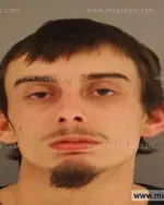 Booking photo of BRUCE E JR PHILLIPS, Anderson County, Jan 20, 2015