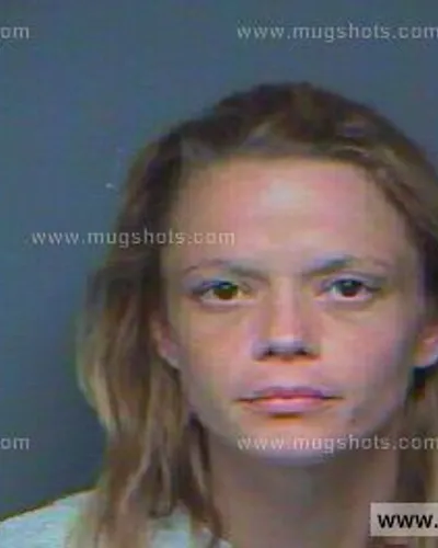 Booking photo of Cynthia Bowers, Anderson County, Aug 18, 2012