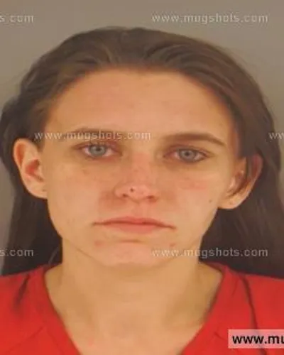 Booking photo of Chasity Leeann Lee, Anderson County, Oct 21, 2015