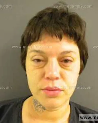 Booking photo of April Denise Tinker, Anderson County, Oct 15, 2013
