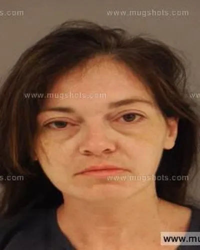 Booking photo of Misty Rigopoulos, Anderson County, Oct 26, 2014