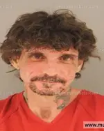 Booking photo of Christopher Dewayne Aslinger, Anderson County, Jan 31, 2015