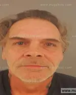 Booking photo of Brooke Lane Hall, Anderson County, Oct 23, 2015