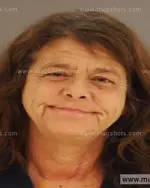 Booking photo of Tammy Lynn Perry, Anderson County, Nov 18, 2014