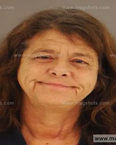 Booking photo of Tammy Perry, Anderson County, Nov 18, 2014