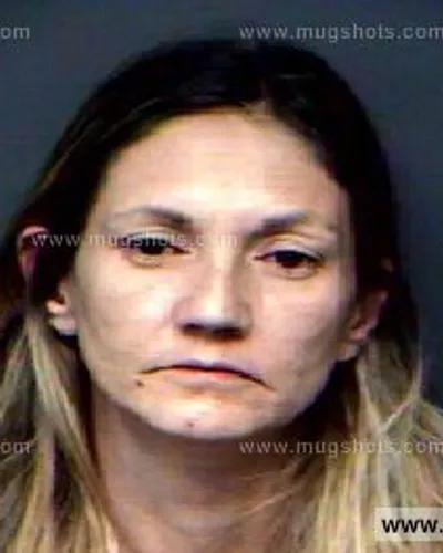 Booking photo of CRYSTAL G MCDANIEL, Anderson County, Aug 3, 2011