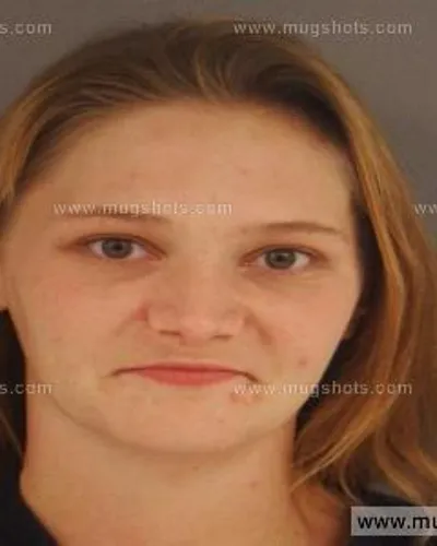 Booking photo of Ashley Nicole Collins, Anderson County, Nov 14, 2014