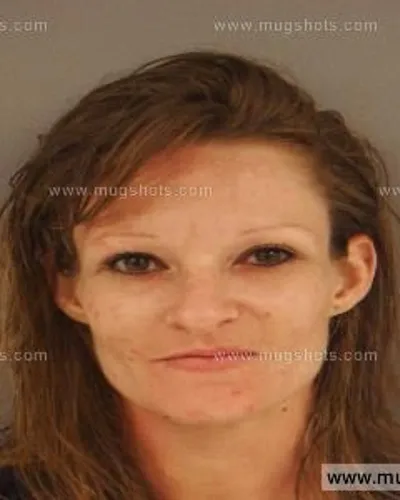 Booking photo of Casandra Lee Fannin, Anderson County, Nov 13, 2014