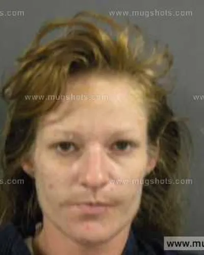 Booking photo of Casandra Lee Fannin, Anderson County, Nov 13, 2013