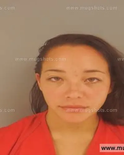 Booking photo of Dianne Hamrick, Anderson County, Aug 25, 2015