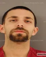 Booking photo of Paula L Brown, Anderson County, Feb 9, 2015