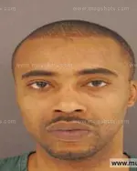 Booking photo of Francis Dion Williams, Anderson County, Feb 23, 2014