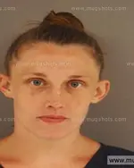 Booking photo of Kimberly Lynn Rains, Anderson County, Jun 8, 2014