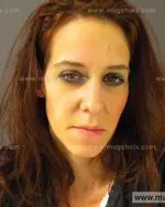 Booking photo of Ashley Nicole Collins, Anderson County, Jan 5, 2014