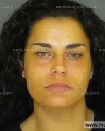 Booking photo of Amanda Lee Crawford, Anderson County, Feb 16, 2014