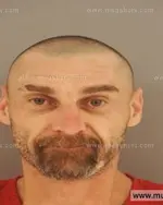 Booking photo of Michael Harold Smith, Anderson County, Jul 9, 2015