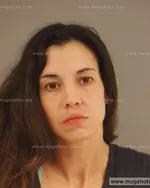 Booking photo of Randi Nicole Lewis, Anderson County, Jan 22, 2015