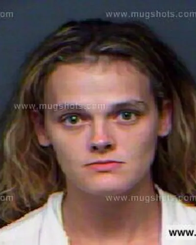 Booking photo of Tina Carroll, Anderson County, Nov 5, 2012