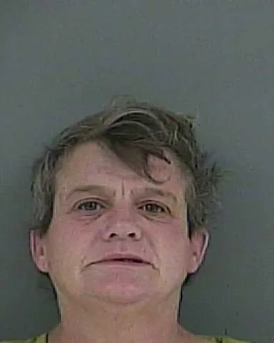 Booking photo of PAMELA S YOUNG, Anderson County, Jan 7, 2026