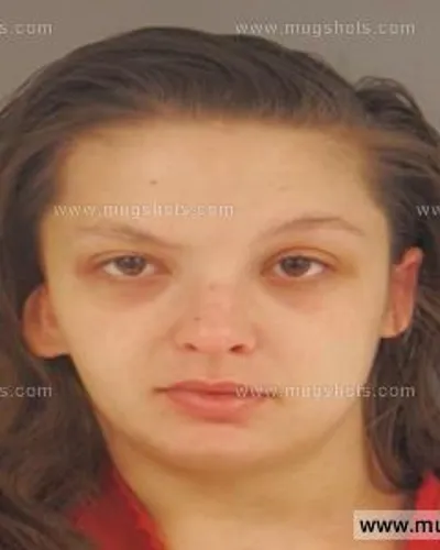 Booking photo of Jamie Selvidge, Anderson County, Nov 18, 2015