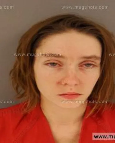 Booking photo of Vivian Noonan, Anderson County, Jan 30, 2015