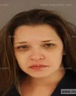 Booking photo of Amber Nicole Paysinger, Anderson County, Dec 21, 2014