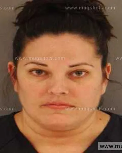 Booking photo of Misty Ellis, Anderson County, Mar 15, 2014