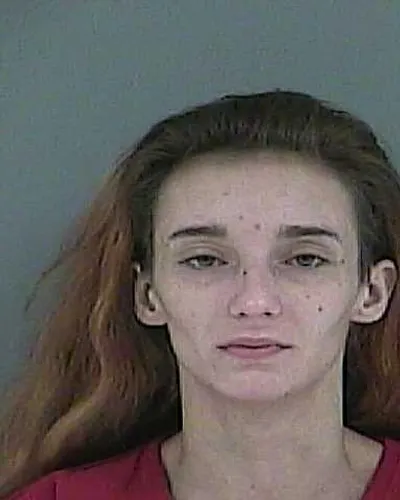 Booking photo of PAYTON N BRIDGES, Anderson County, Dec 2, 2025