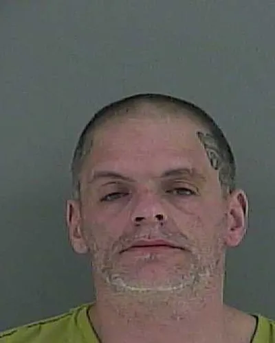 Booking photo of ADAM N COLLINS, Anderson County, Mar 14, 2025