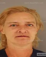 Booking photo of Robin Wanda Taylor, Anderson County, Aug 2, 2014