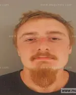 Booking photo of Skylar Alexander Patterson, Anderson County, Oct 10, 2015