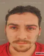 Booking photo of Christian Michael Cooper, Anderson County, Jun 5, 2015