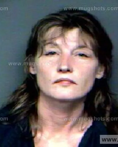 Booking photo of Teresa Mcmahan, Anderson County, Aug 3, 2011