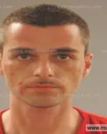 Booking photo of WILLIAM JOSHUA RUSSELL, Anderson County, May 30, 2015